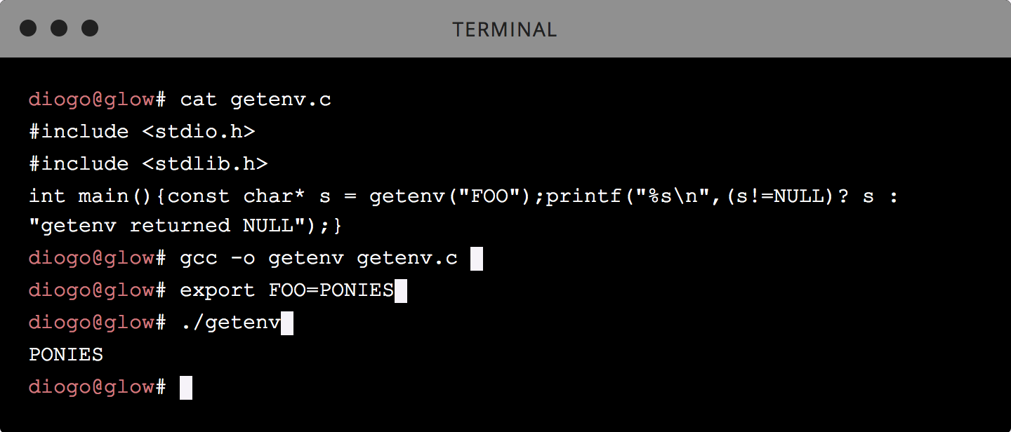 Fork and getenv example.